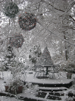 Snow in Triangle NC